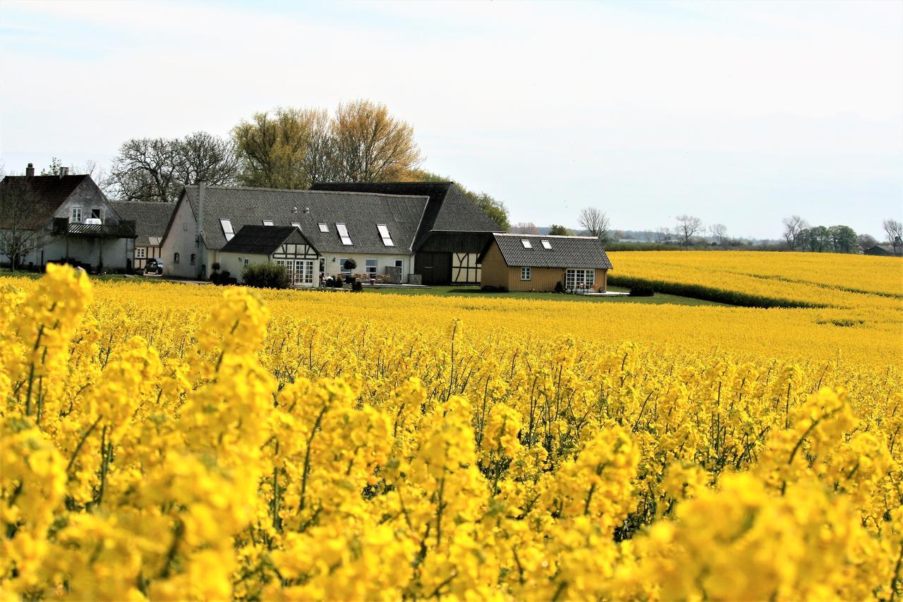 Rodkaergard Bed&Breakfast Kerteminde Exterior photo